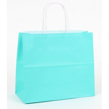 Dárková papírová taška mentolová ' WrapCo