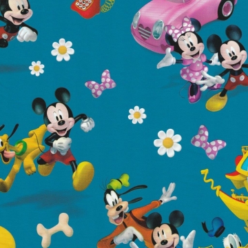 Dárkový papír Disney | WrapCo