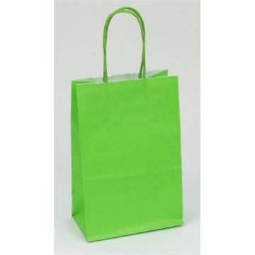 Dárková papírová taška světle zelená.