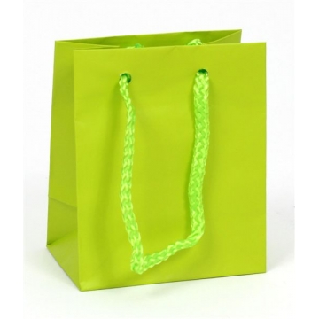 Dárková papírová taška světle zelená.